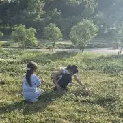 ヴェルドラの画像