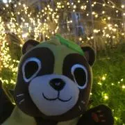 solaの画像