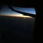Tの画像
