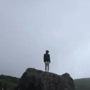菜の画像