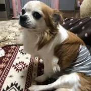 みゅう