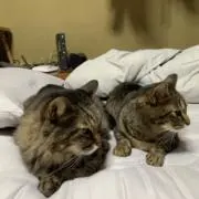 アングラーズハイ