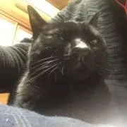 いっきの画像