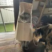 かける(断捨離中)