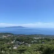 ふぇり夫の画像
