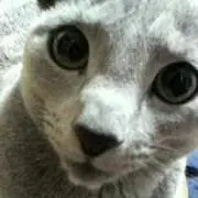 さいとー