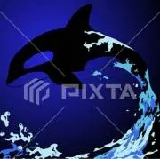 黒沢の画像