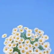 ＊kan＊の画像