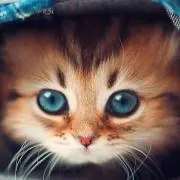 ガンちゃん