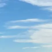 るかの画像