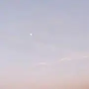 ゆい※土日は発送遅れますの画像