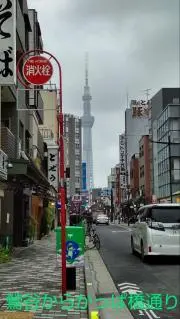 千代の画像