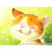 こぶたぬきつねこの画像