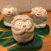 なっちゃんの画像
