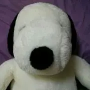 ラベンダー