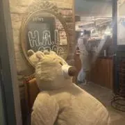 あの画像