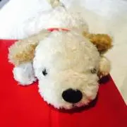 Yukkaの画像