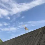 amの画像