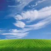 千鳥