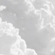 a.の画像