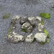 たきくん