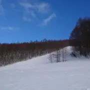 Rinの画像