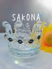 SAKONAの画像