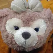 もずもずもずの画像