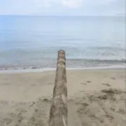 maの画像
