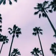 02☻ັ