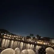 むーみんの画像