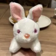 みみの画像