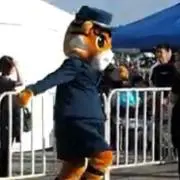 まめ