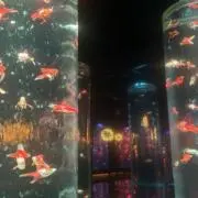 みずごろうの画像