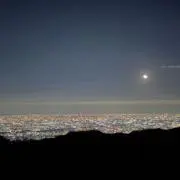 爽の画像