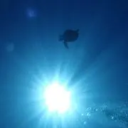ukの画像