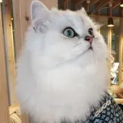 d-ym