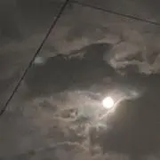 yyy