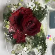 みさん0033の画像