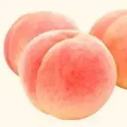 カメラももの画像