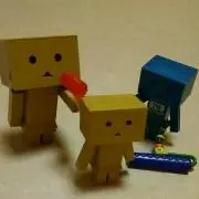 だいだいの画像