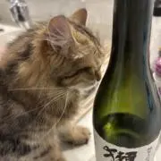 asajiの画像