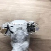 しろ