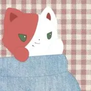 海月の画像