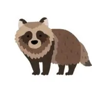 たぬの画像