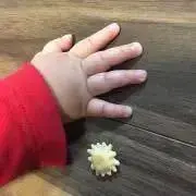 のんの画像