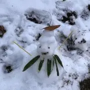 NNMY⭐︎の画像
