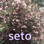 seto♡値下げ交渉お受けします✨