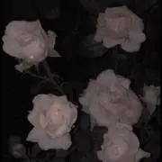 ♡
