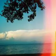 lomoの画像